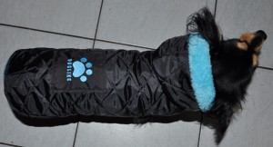 doglike kutyaruha